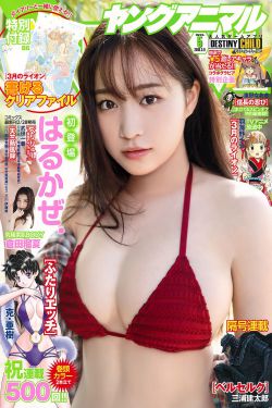 克拉之恋